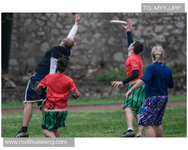 刘强独家分享飞盘技巧与心得体会助你提升飞盘水平