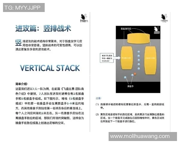 上海飞盘队整体压制战术解析与赛事表现深度剖析