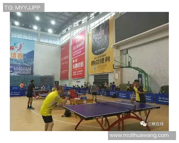 深圳乒乓球队与西安乒乓球队的耐力较量赛后深度分析与反思