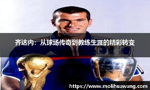 熊猫体育官网