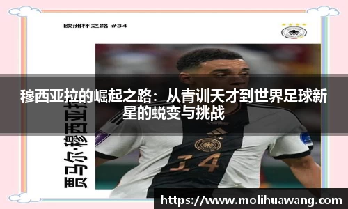威尼斯99499